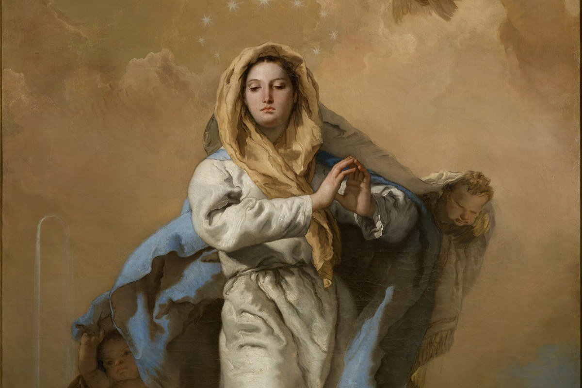 Pio IX e os documentos sobre a Imaculada depois de 1854 (Doctrina Pontificia IV, nn. 269-322)